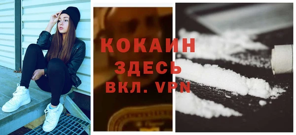 ПСИЛОЦИБИНОВЫЕ ГРИБЫ Богданович