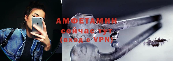 ПСИЛОЦИБИНОВЫЕ ГРИБЫ Богданович