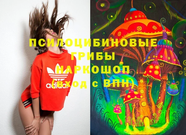 ПСИЛОЦИБИНОВЫЕ ГРИБЫ Богданович