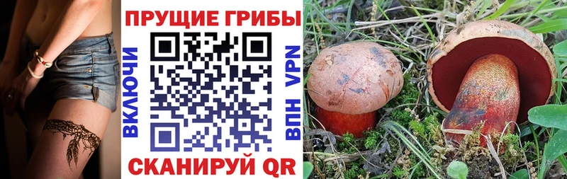 купить закладку  Отрадный  Псилоцибиновые грибы MAGIC MUSHROOMS 